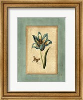 Framed Crackled Spa Blue Tulip III