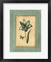 Framed Crackled Spa Blue Tulip III