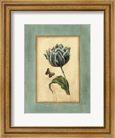 Framed Crackled Spa Blue Tulip IV