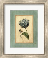Framed Crackled Spa Blue Tulip IV