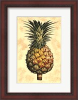 Framed Pineapple Splendor I