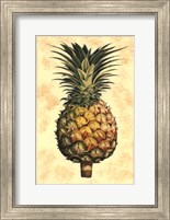 Framed Pineapple Splendor I