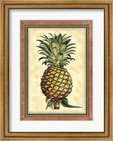 Framed Pineapple Splendor II