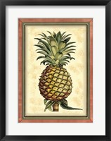 Pineapple Splendor II Framed Print