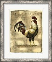 Framed Tuscany Rooster I