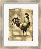 Framed Tuscany Rooster I