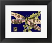 Framed Mini Shimmering Dragonfly IV