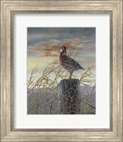 Framed Quail on a Post