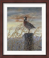 Framed Quail on a Post