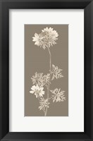 Framed Taupe Nature Study II