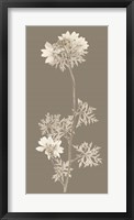 Framed Taupe Nature Study II