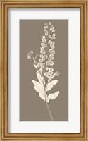 Framed Taupe Nature Study III