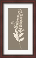 Framed Taupe Nature Study III