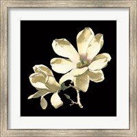 Framed Midnight Magnolias I