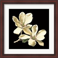 Framed Midnight Magnolias II