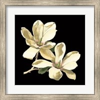 Framed Midnight Magnolias II