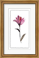 Framed Floral Watercolor II