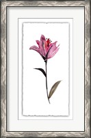 Framed Floral Watercolor II