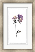 Framed Floral Watercolor III