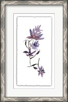 Framed Floral Watercolor IV