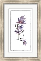 Framed Floral Watercolor IV