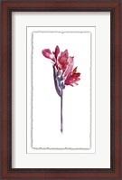 Framed Floral Watercolor V