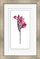 Framed Floral Watercolor V