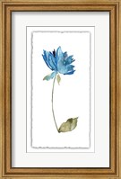 Framed Floral Watercolor VI