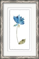 Framed Floral Watercolor VI