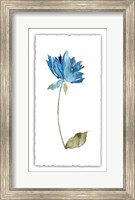 Framed Floral Watercolor VI