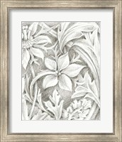 Framed Floral Pattern Sketch III
