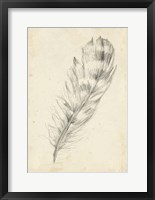 Framed Feather Sketch II