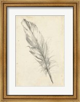 Framed Feather Sketch III