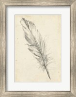 Framed Feather Sketch III