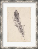 Framed Feather Sketch IV