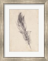 Framed Feather Sketch IV