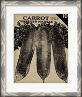 Framed Vintage Seed Pack II