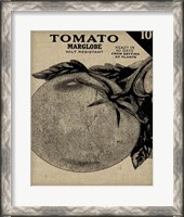 Framed Vintage Seed Pack V