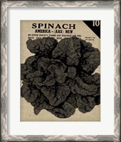 Framed Vintage Seed Pack VI
