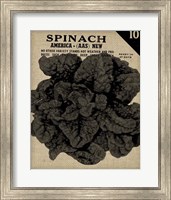 Framed Vintage Seed Pack VI
