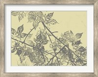 Framed Grey Leaves I