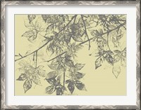 Framed Grey Leaves II