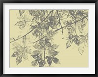 Grey Leaves II Framed Print