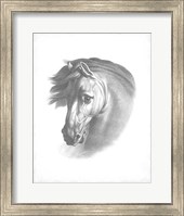Framed Equestrian Blueprint I