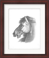 Framed Equestrian Blueprint III