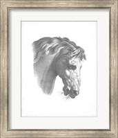 Framed Equestrian Blueprint IV