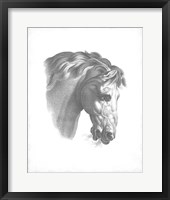 Framed Equestrian Blueprint IV
