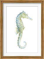 Framed Watercolor Seahorse I