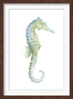 Framed Watercolor Seahorse I