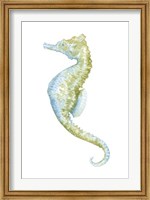 Framed Watercolor Seahorse II